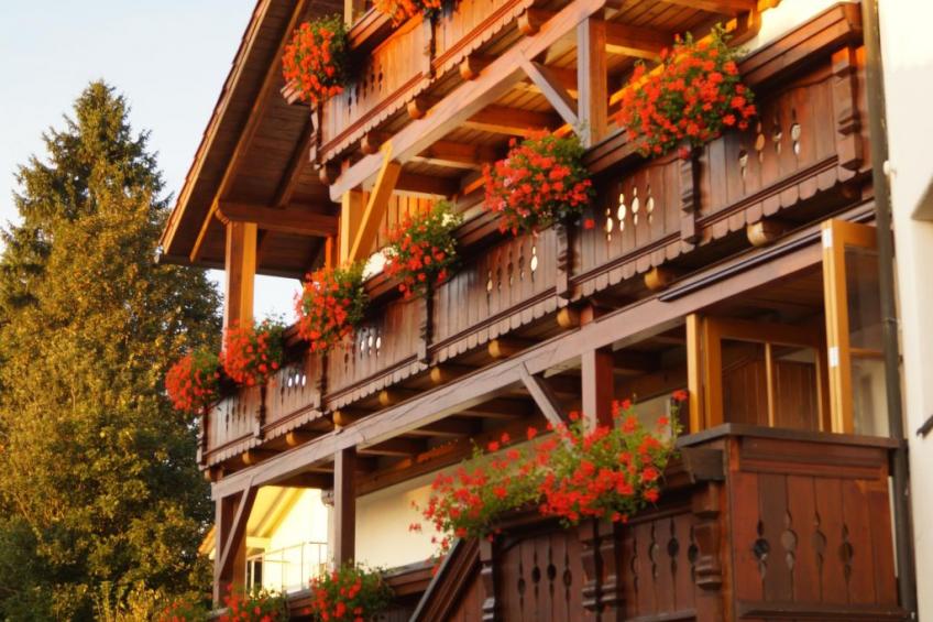 in Haidmühle mit Großem Garten - foto 4