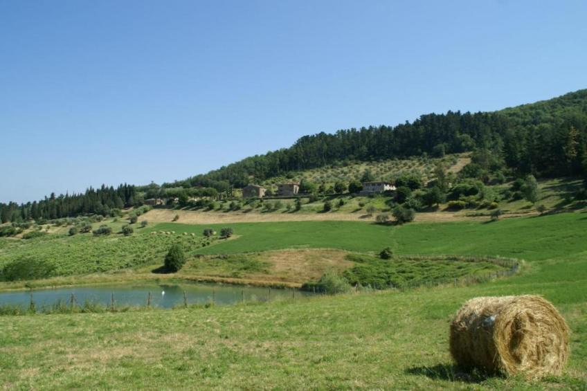 Noce - foto 35