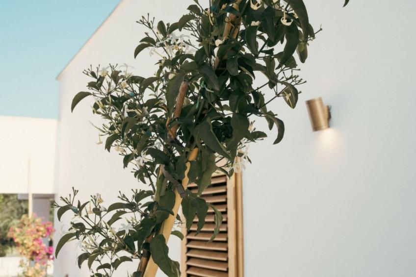 Villa Jolie mit Pool - foto 8