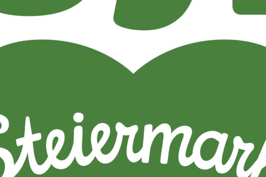 Große Ferienwohnung in Stubenberg am See mit GenussCard - foto 20