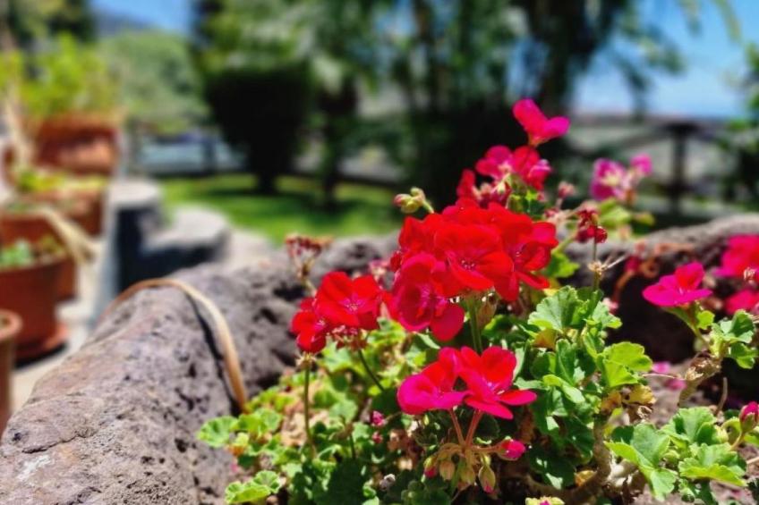 Villa "Casa Laranja" mit Bergblick - foto 8