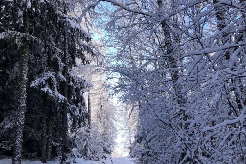 Chalet Veilchen - foto 17