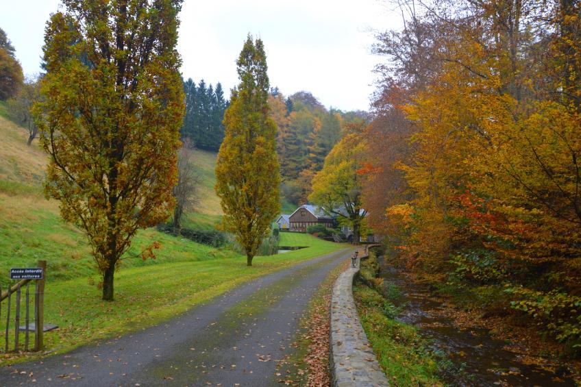 Le Vieux Moulin 16 - foto 36