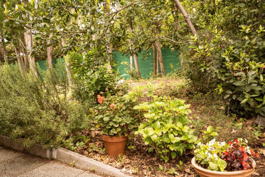 Tiny house Laurel - 70 Meter vom Strand entfernt - foto 13