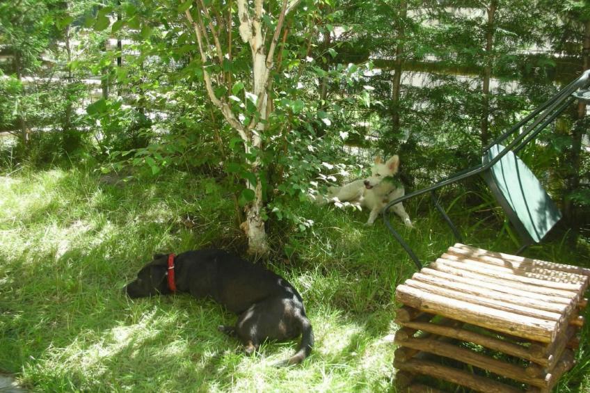 mit Bergblick - foto 4