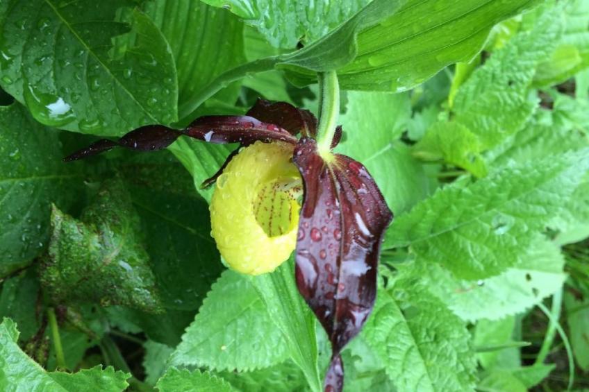 mit Blick auf die Berge - foto 32