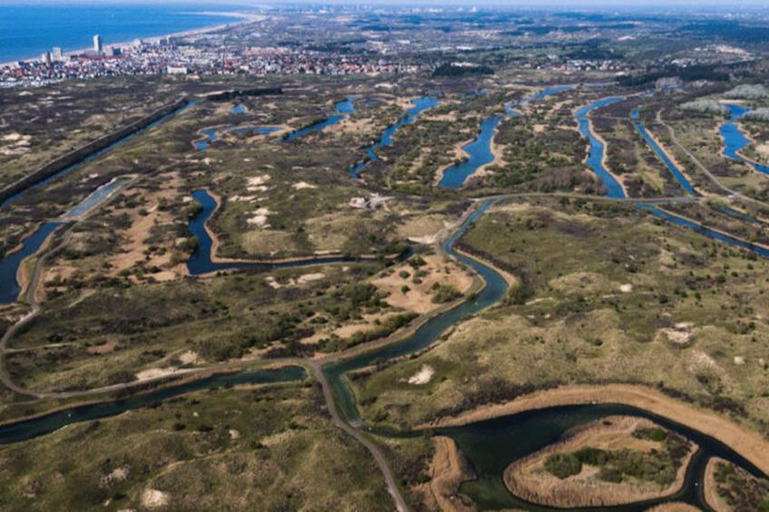 The Beach & Town Suite - foto 35