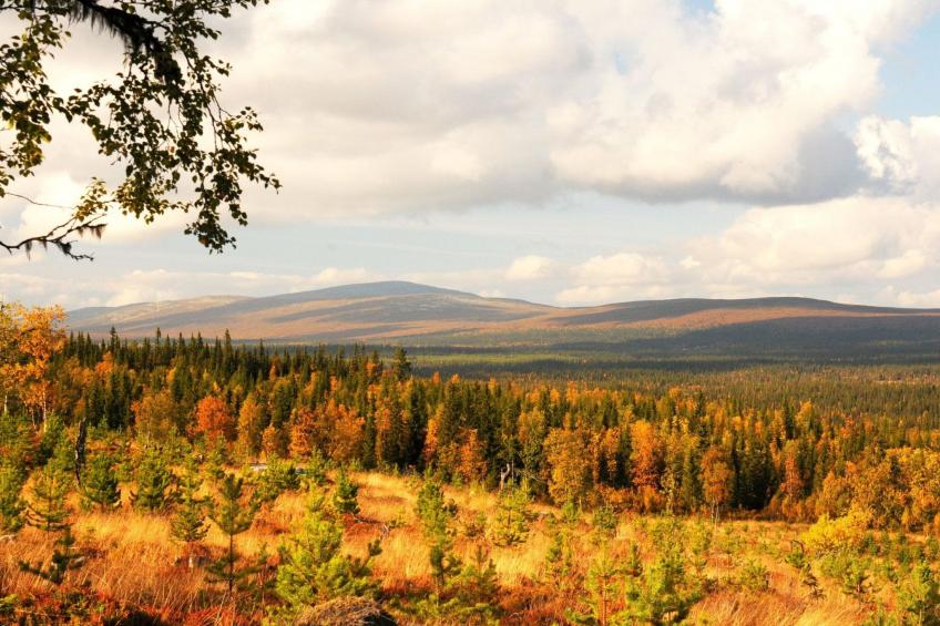 Gemütliches Blockhaus mit Kamin im Oviksfjäll - foto 20
