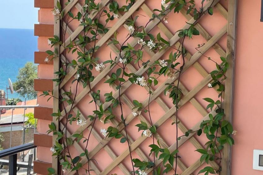 Panorama-Haus - foto 10