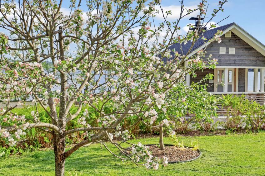 Paasirinne a - foto 34