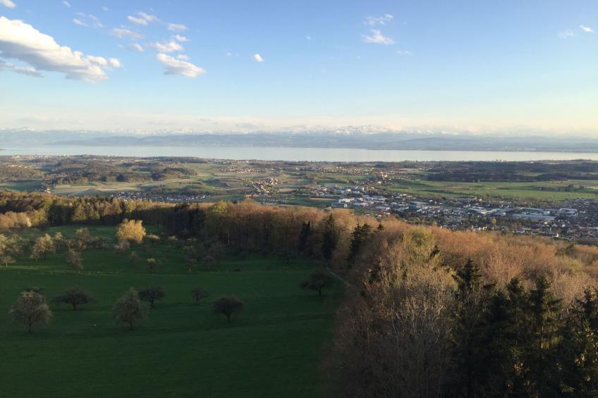 FeWo in ruhiger Südhanglage - foto 11