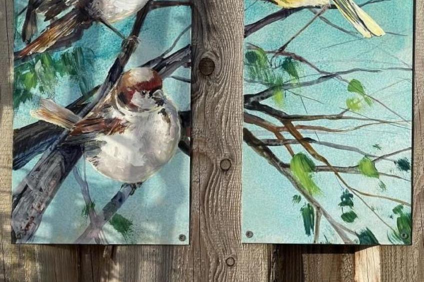 Ruhige Wohnung in Risum mit Garten und Terrasse - foto 38