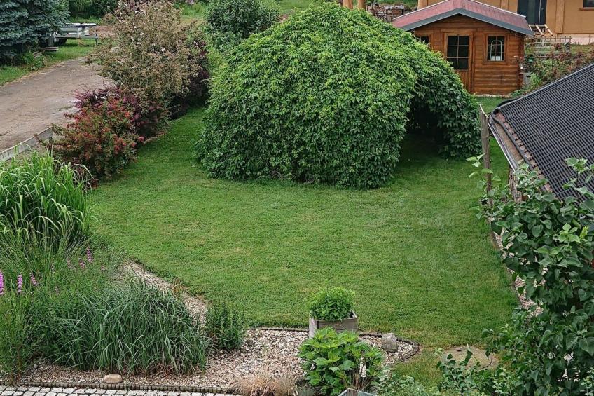 mit Garten, Weinlaube und Aussenpool - foto 13