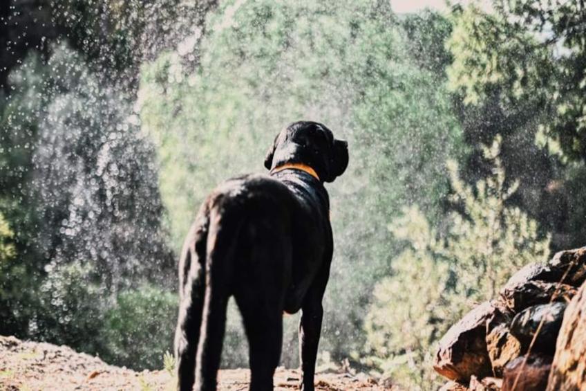 The Lemon Lodge - Ziggurat Suite - foto 24