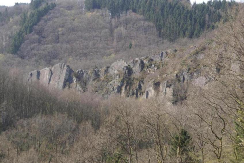 Petite Reine - foto 23