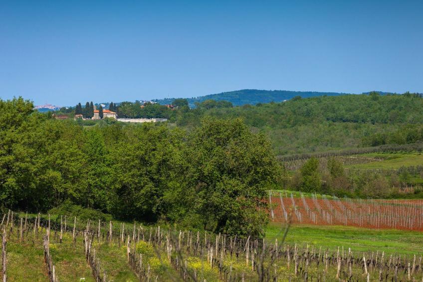 Villa Marilena - foto 31