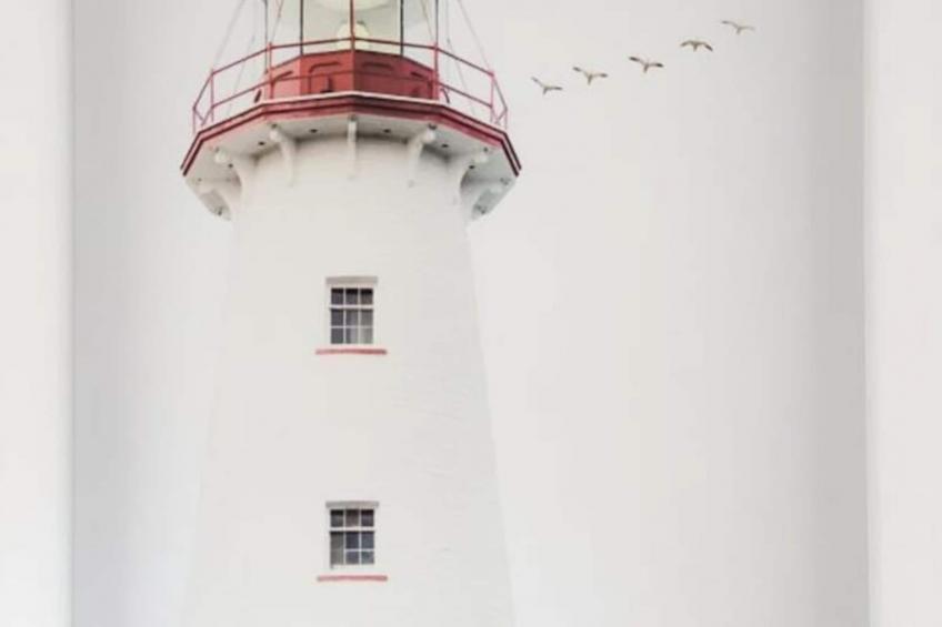 | Le Ladybug - foto 15