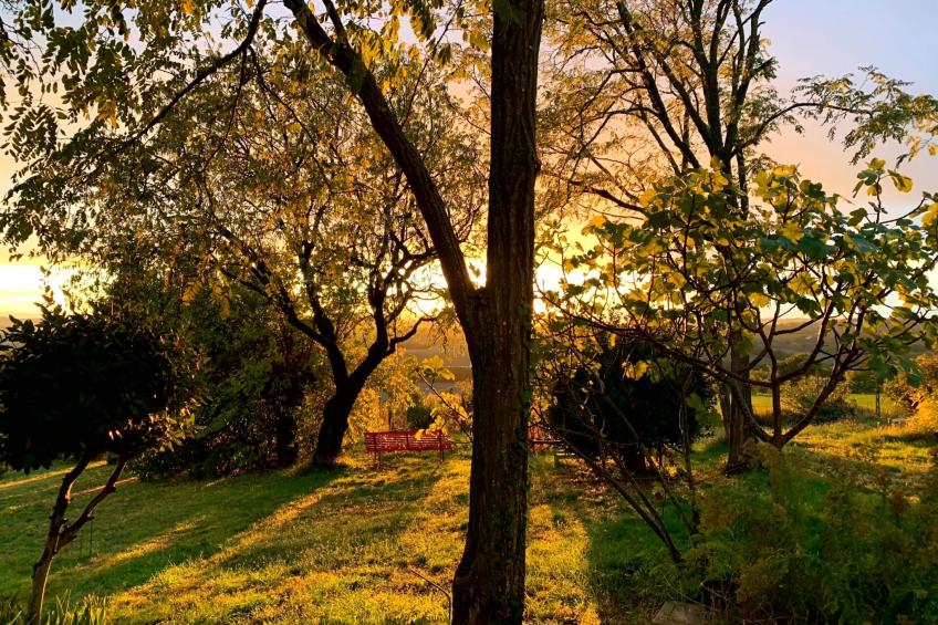 CASA ANCARANO Sirolo - foto 43
