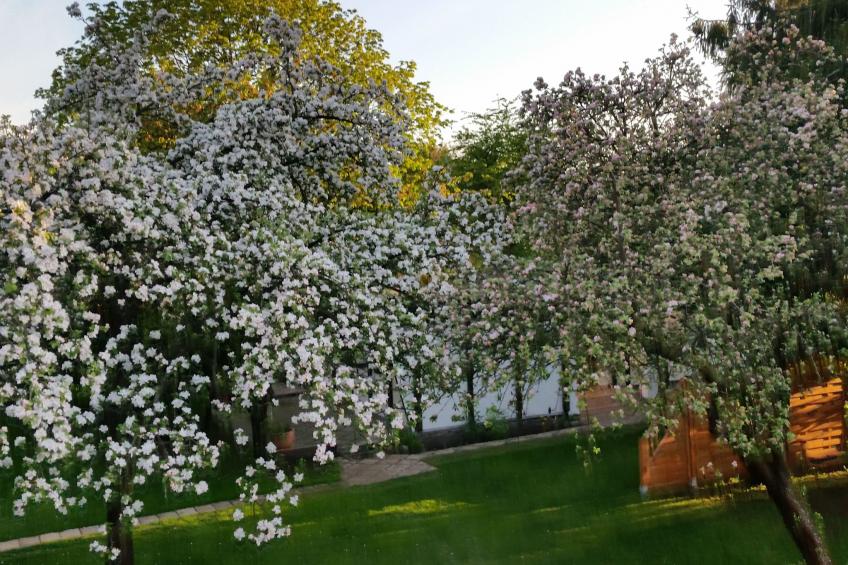 Feienhaus Gregor - foto 21