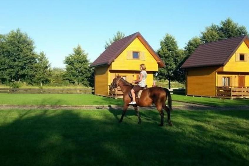 Blockhütte mit Terrasse und Grill - foto 8