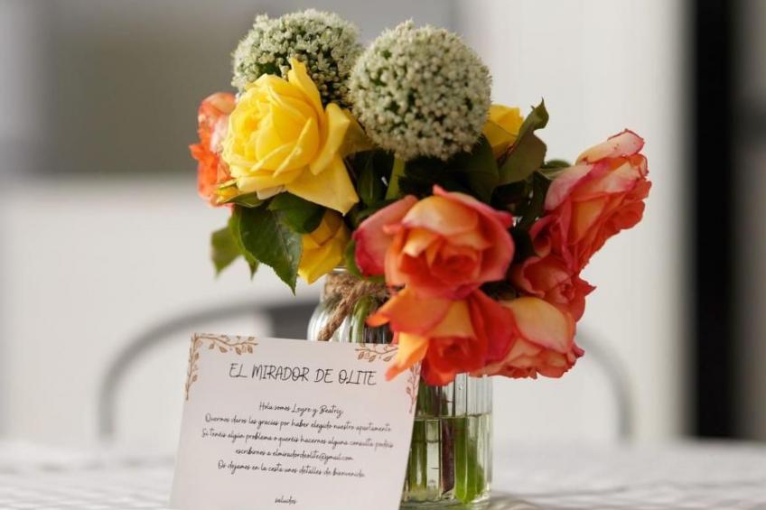 El Mirador de Olite - foto 13