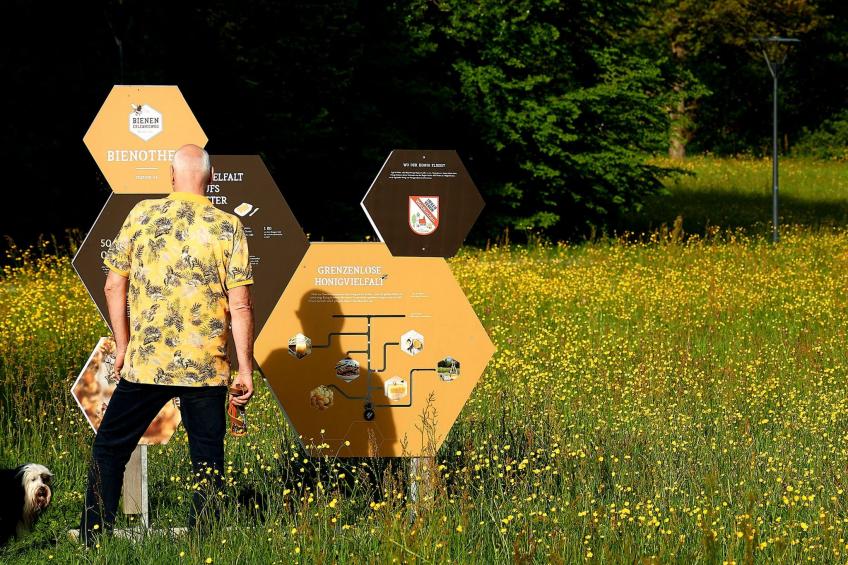 in Waldkirchen mit Garten und Seeblick - foto 18