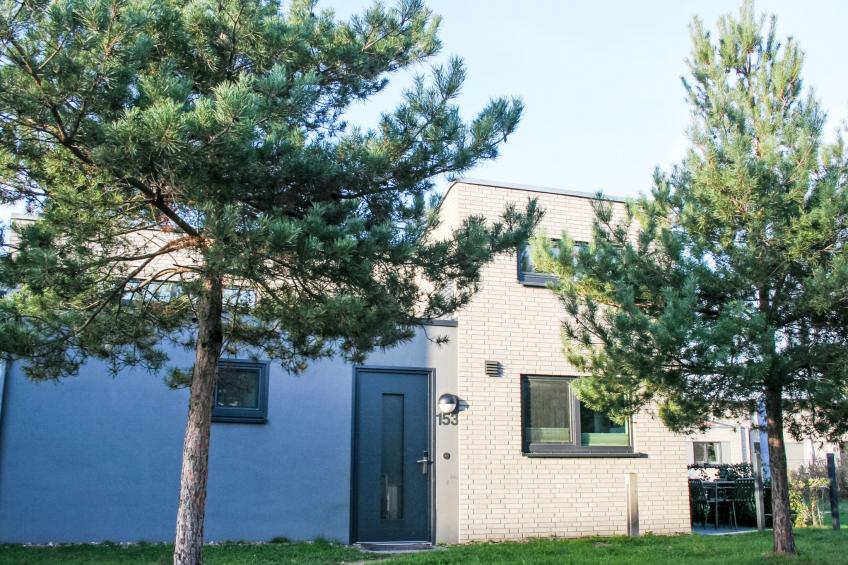 Zwischen den Hügeln (153) - foto 38