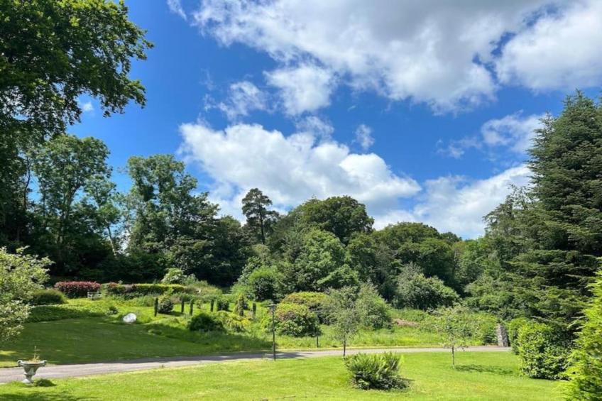 Little Dunley - Holly - foto 23