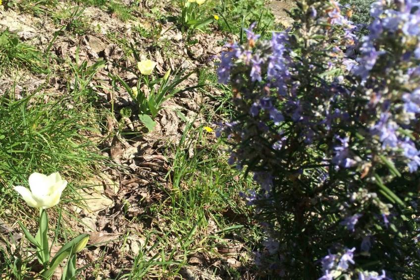 Villa Bella - Two Bedroom House - foto 41