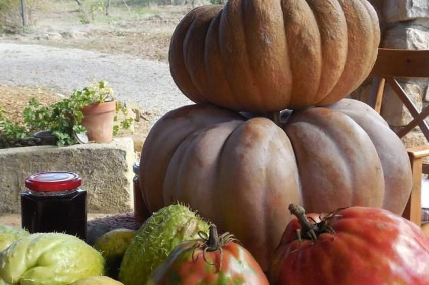 Behagliches Ferienhaus mit Garten inmitten eines - foto 20