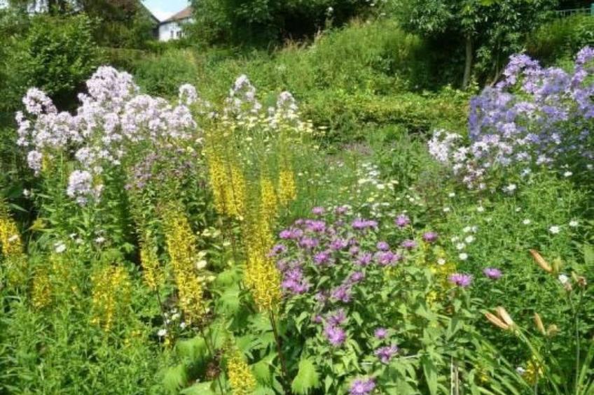 The Water Mill of Tourteron - foto 15