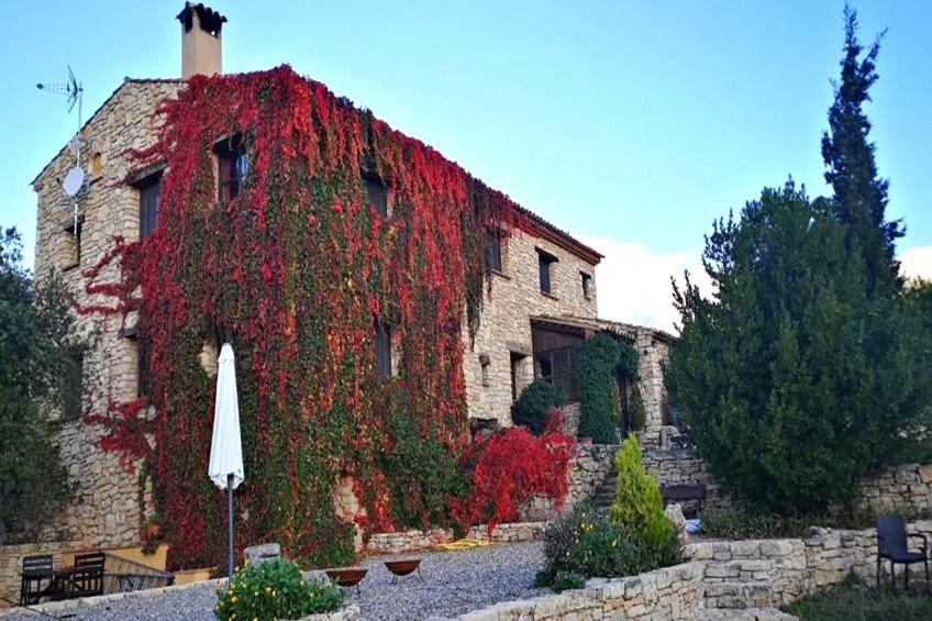 Mas de l'Arlequi - foto 8