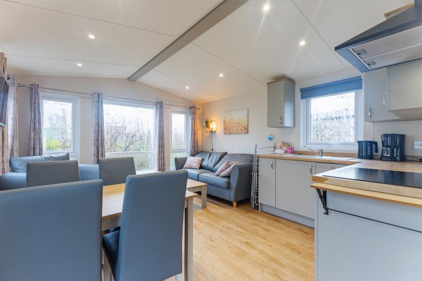 Duinhoeve Chalet Vogel - Huisdier niet toegestaan - foto 5