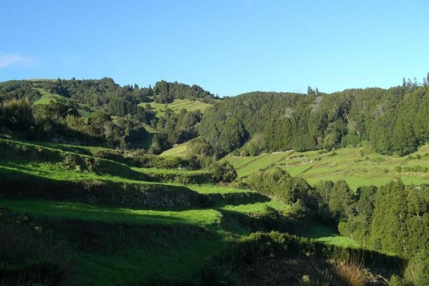 Casa Bela Vista I - foto 24