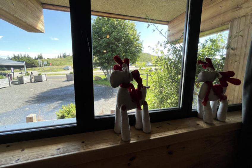 Mobil Home - Bungalow - Cottage à Albepierre Bredons - foto 4