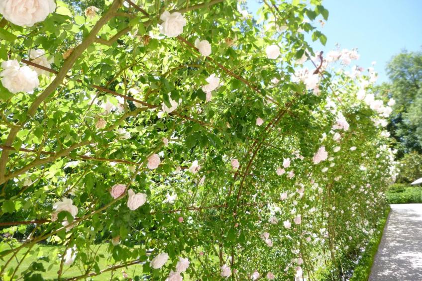 Fachwerkhaus "gitealienor perigord" - foto 42