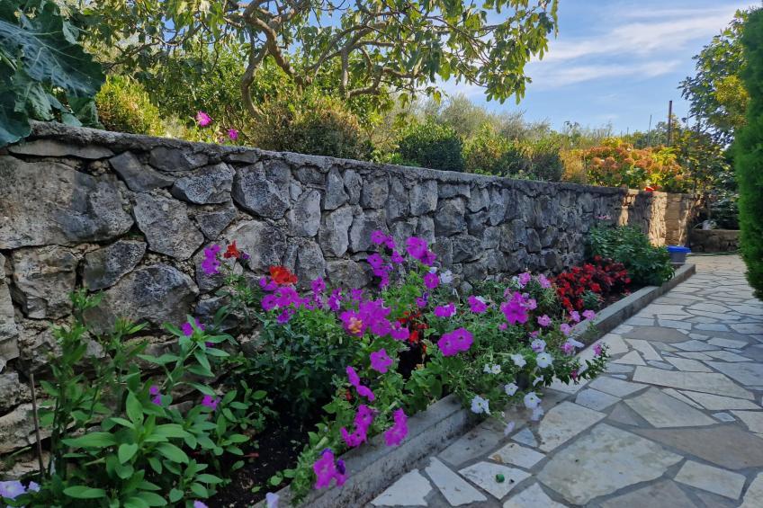 Apartment 2390 - foto 4