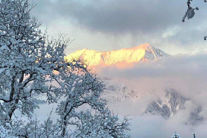 Chalet Specht - foto 17