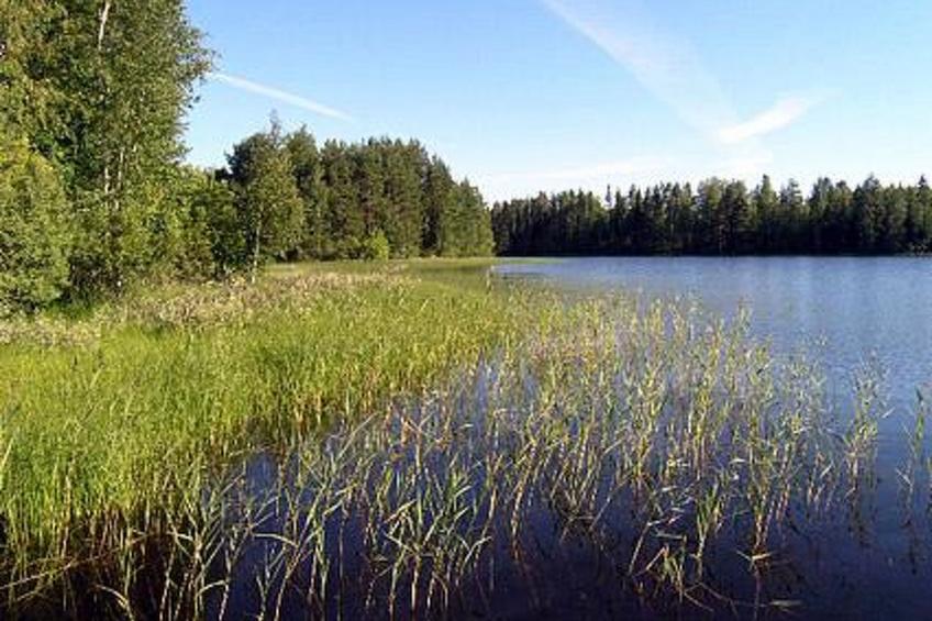 Pikku-villa - foto 9