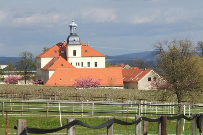 169415 - foto 20