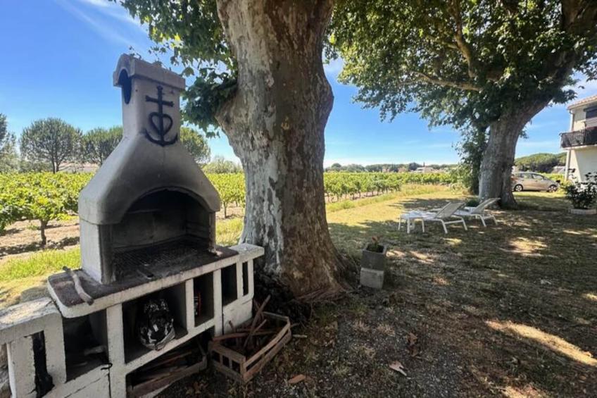 Résidence Gîte Du Mas - Charmant Gîte Provençal Avec Jardin Commun - foto 16