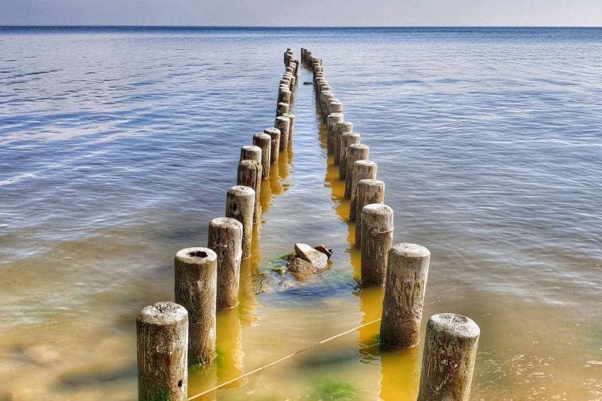 mit Garten, Grill und Terrasse - foto 35