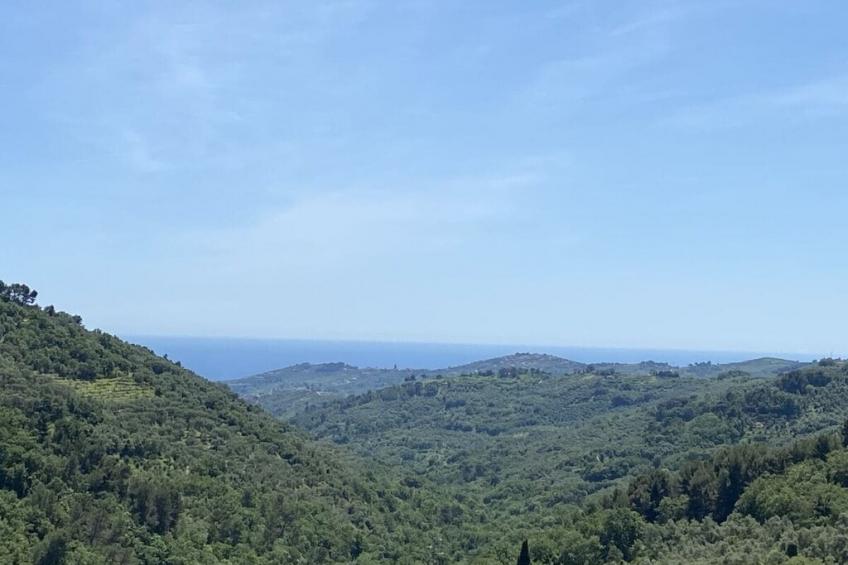 389927 - foto 37
