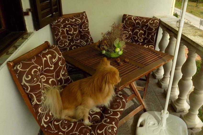 Vakantiewoning met een 30 m² groot terras met uitzicht op de tuin - BF-JRW8 - foto 6