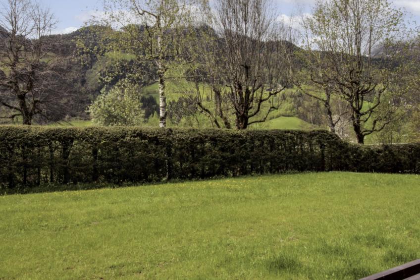 Vakantiewoning - VW-RTMM - foto 21