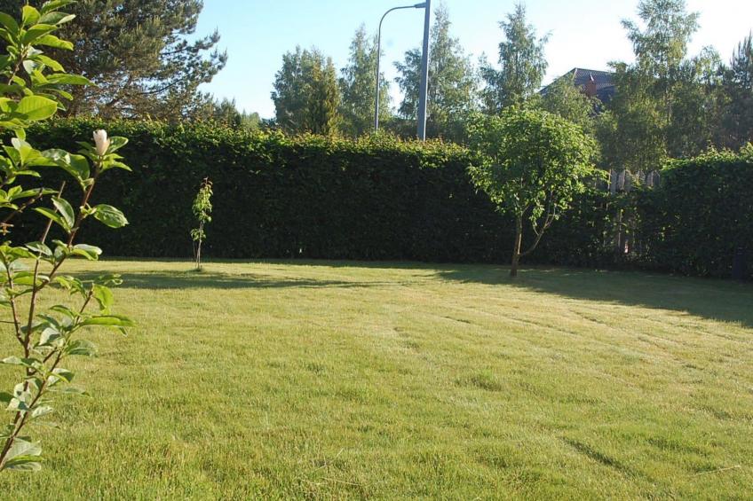 mit Schwimmbad - foto 10