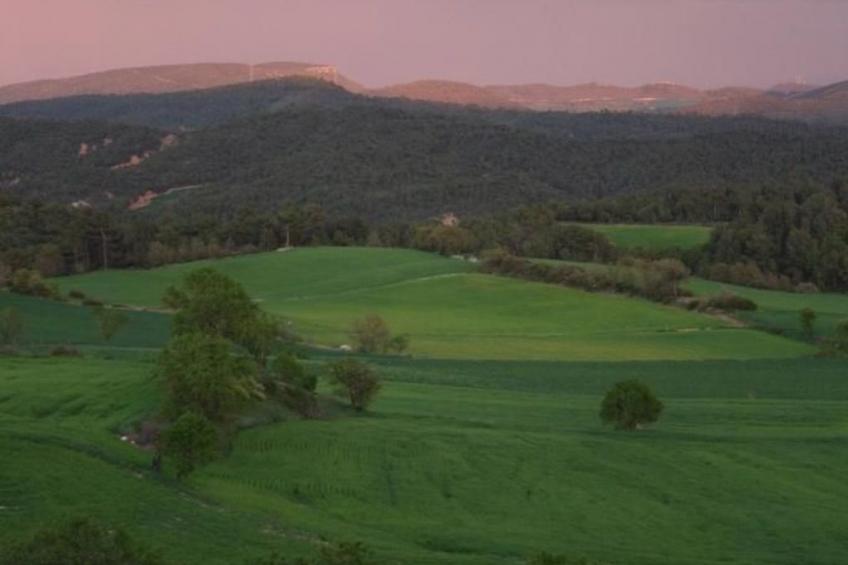 Fachwerkhaus - foto 31