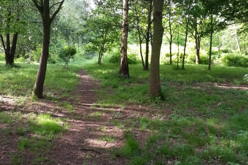 Wohnstudio für maximal vier Personen - foto 16