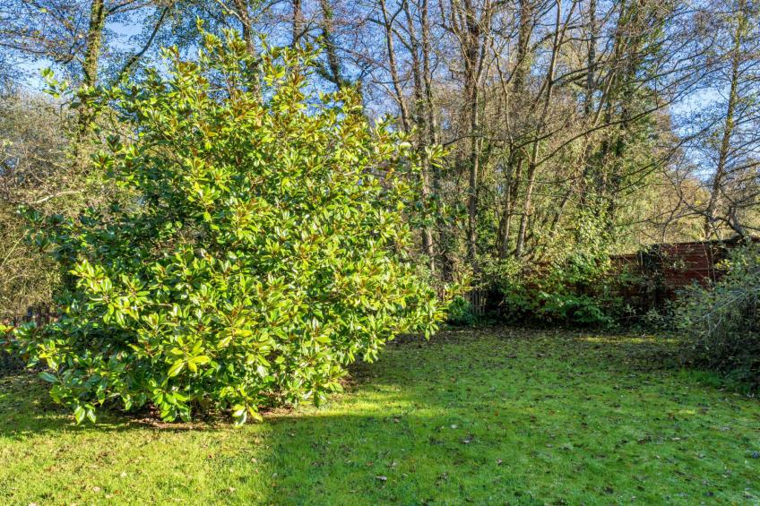Mill Cottage, Great Houndbeare Farm - foto 11