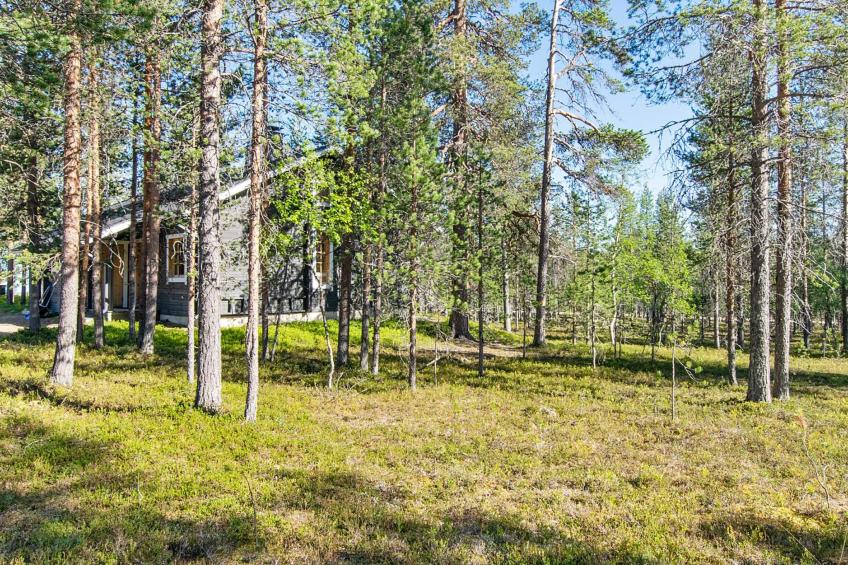 Kuksatie 7 b - foto 18